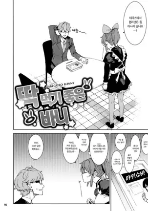 Tabegoro Bunny | 딱 먹기 좋은 바니