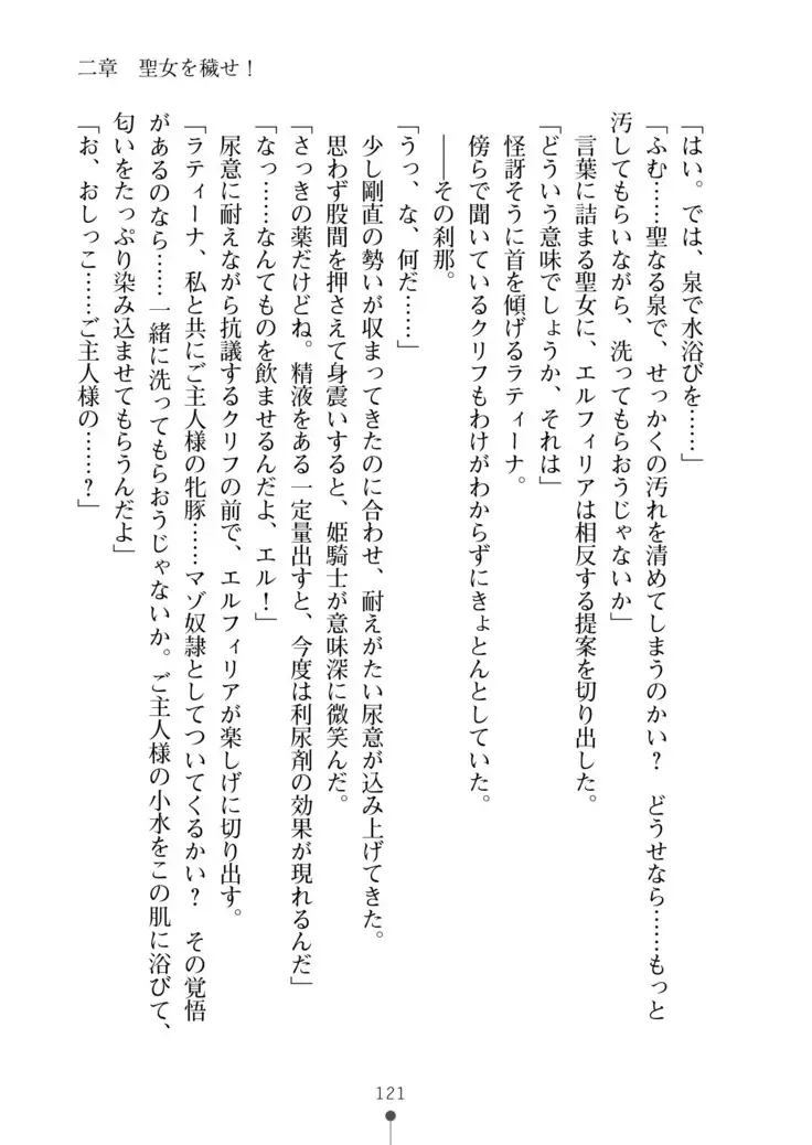 Cool Maso! Fantasy~ Shitsukete Himekishi Sama