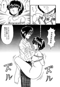 [Kesshousui] Otome no Seikanritsu