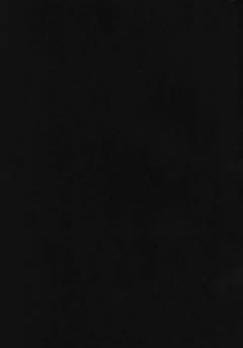 Christmas no Yoru ni