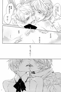 [Shout for Love (Bee)] Doddy Bunny (Hetalia)