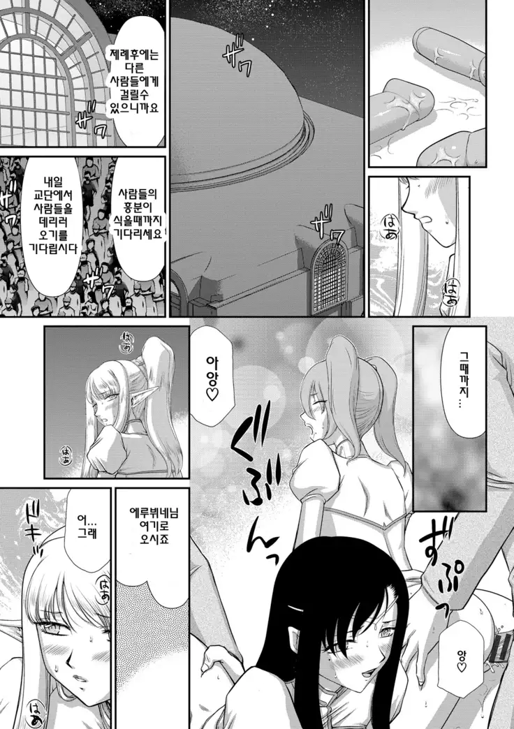 Inraku no Seijo Elvine | 음락의 성녀 에루뷔네