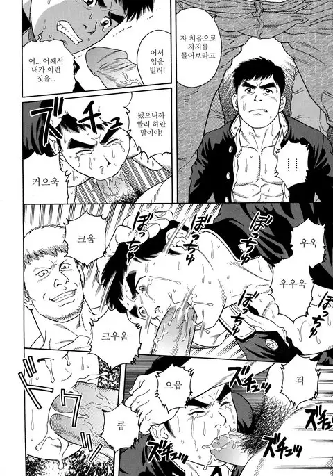 TRAP - Another Translation Version