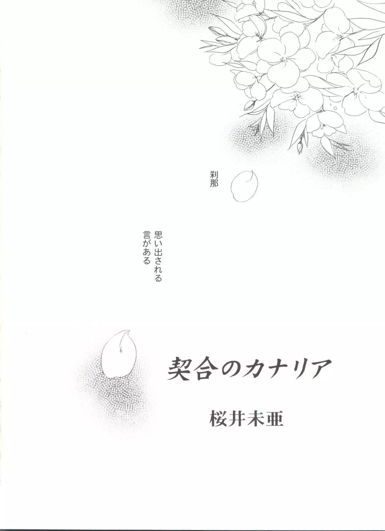 Girl's Parade 99 Cut 9