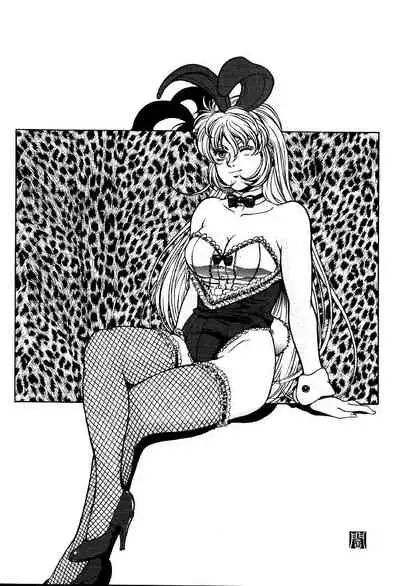 (C61) [NEXT (Various)] NEXT Climax Magazine 9 SUPAROBOKEI HEROINE II (Various)