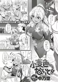 COMIC Shitsurakuten 2019-02 [Digital]