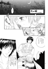 [Shadow's] Shadow's 06 (Tear Ring Saga)