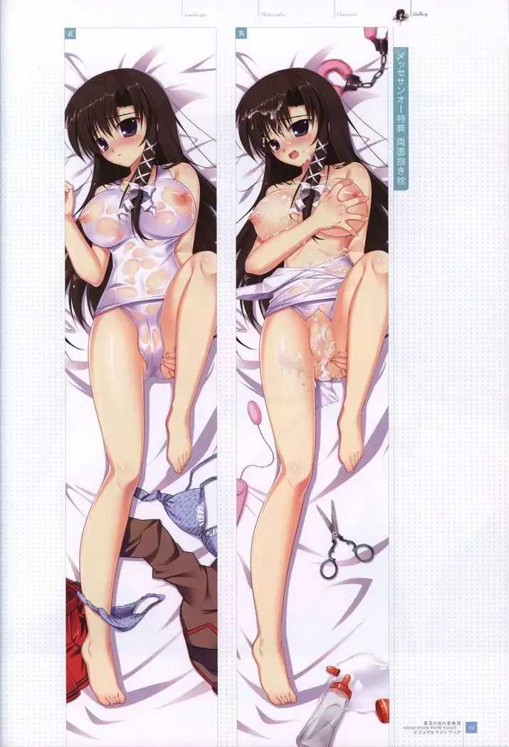 Manatsu no Yoru no Yukimonogatari -MIDSUMMER SNOW NIGHT- Visual Fanbook