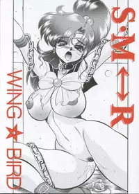 (C62) [Jingai Makyou Club (Wing☆Bird)] S·M↔R (Sailor Moon)