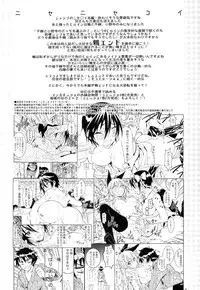 (C89) [Project Harakiri (Kaishaku)] Nisenisekoi 7 (Nisekoi)