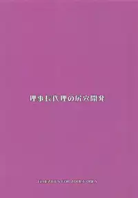 Rijichou Dairi no Shiriana Kaihatsu