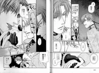 B-BOY Zips 35 スウィートホーム特集