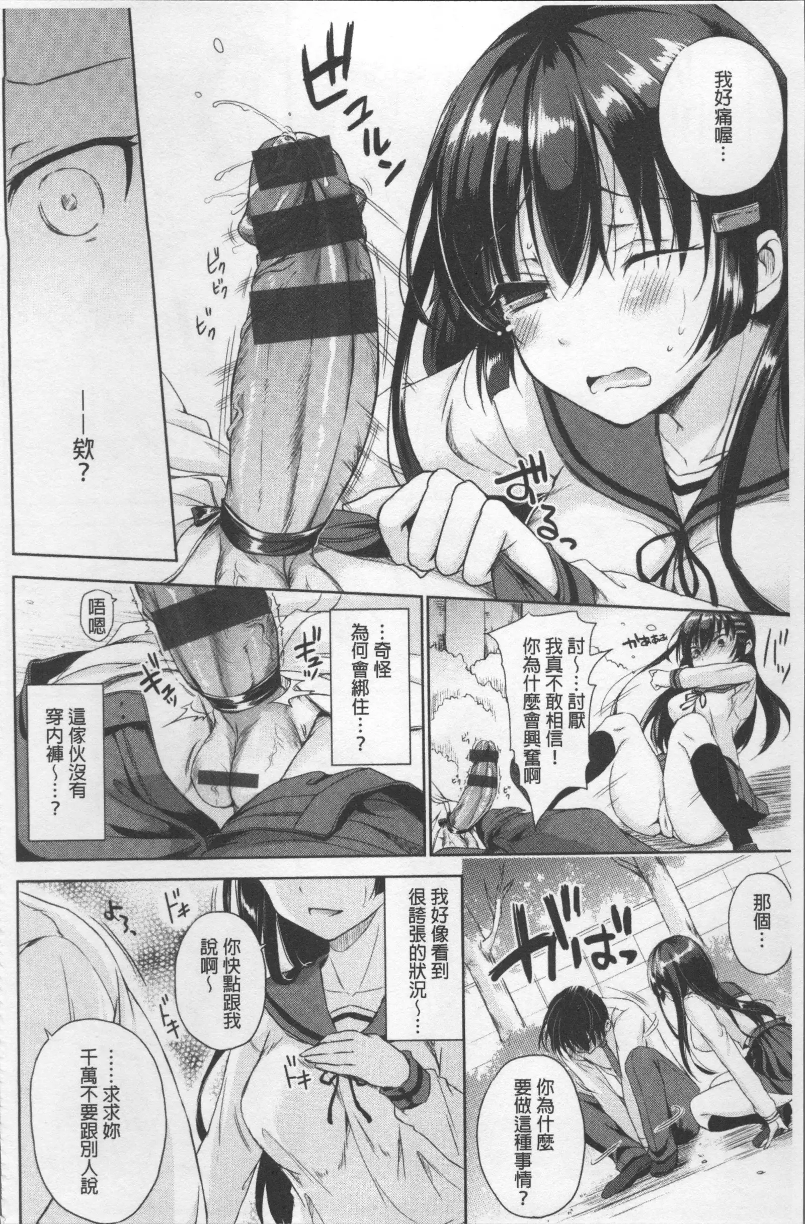 Shikiyoku Träumerei | 色慾的校園白日夢