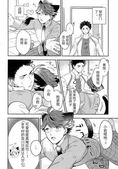 我想成为小岩的猫4 I want to become Iwa-chan's Cat! 4
