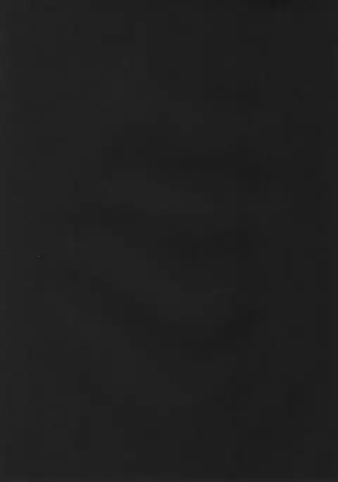 P to Usagi no Yoru no Nichijou