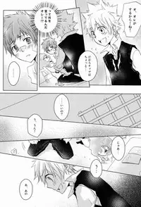 (C80) [Alpenreise (Ayano Ena)] Kiseki (Katekyo Hitman REBORN!)