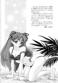 (CR23) [Ginrinkyuu (Aimu Yuu)] Setsu na Kute (Sentimental Graffiti)