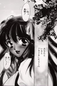 [Shimao Kazu] Charm Point