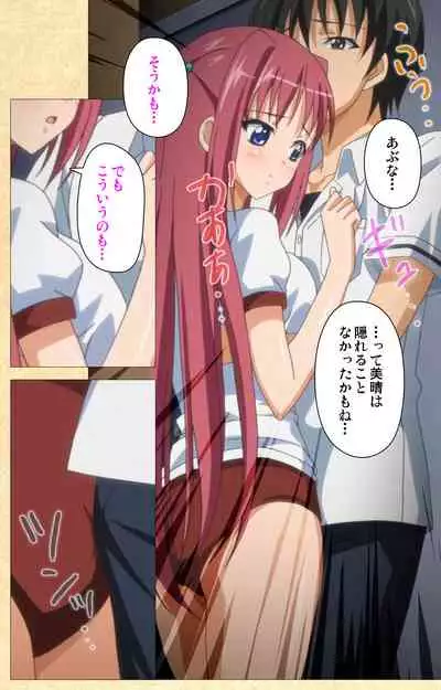 Fukubiki! Triangle Kanzenban