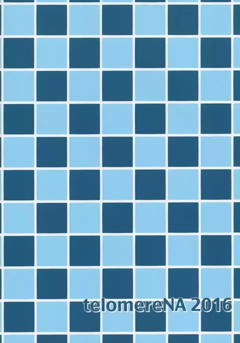 Maid Minami no Gohoushi Full Course {Hennojin}