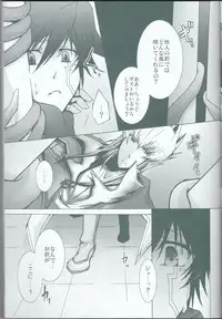 (C75) [Sorairoenogu (Kanei Yoh)] Victim Sanctuary (Yu-Gi-Oh 5D's)