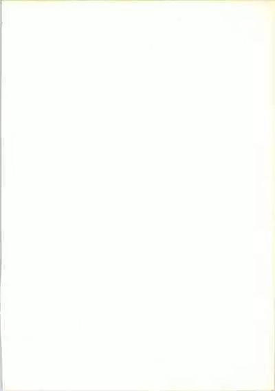 (C47) [Ayashige Dan (Various)] Majokko Knight 2 (Magic Knight Rayearth)