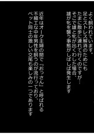 オーク村へようこそ！