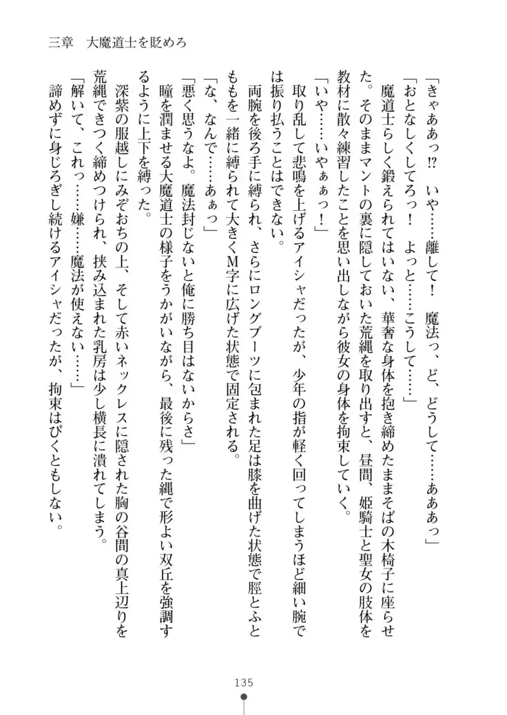 Cool Maso! Fantasy~ Shitsukete Himekishi Sama