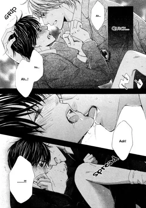 Ouji-sama ni Narenai | Can't Become the Perfect Prince