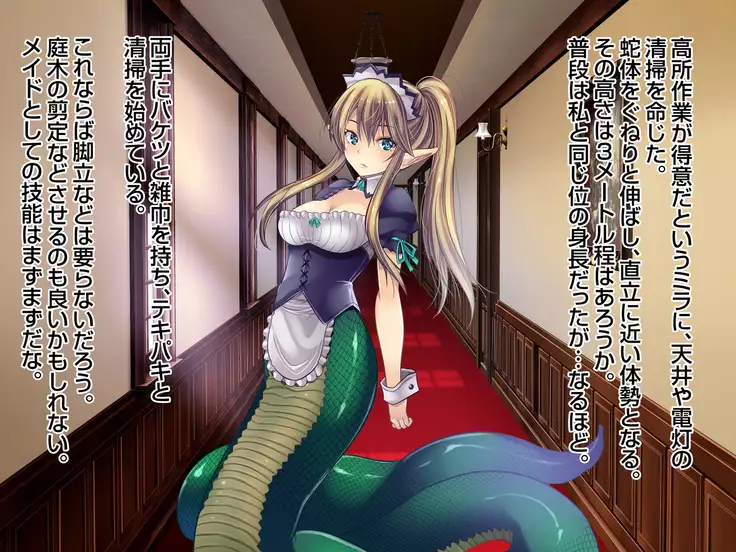 Sannin no Dosukebe Monster Maid-tachi ni Nakadashi Shimakutta Kekka...