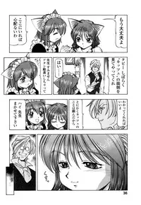 [Itoyoko] Mesu Neko - Maid Cats Story