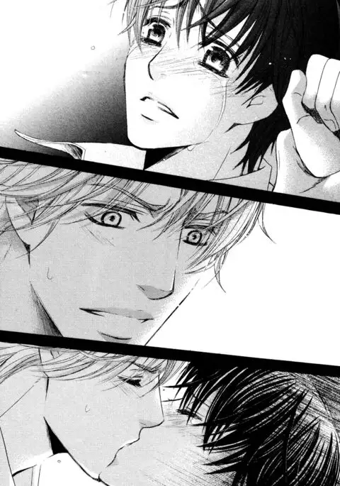 Ouji-sama ni Narenai | Can't Become the Perfect Prince