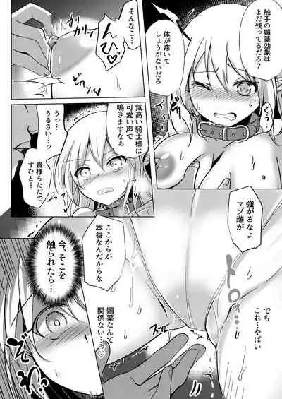 Elf Kishi Ryoujoku Boku ga Hitojichi Kanojo ga Dorei