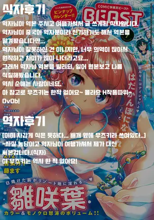 Splash / 스플래시