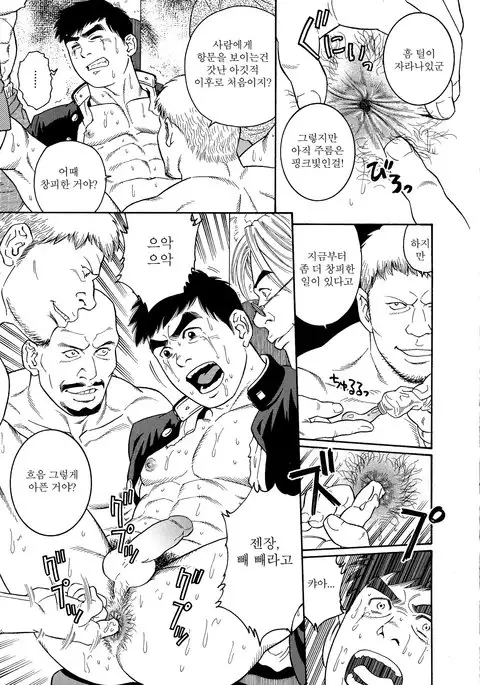 TRAP - Another Translation Version