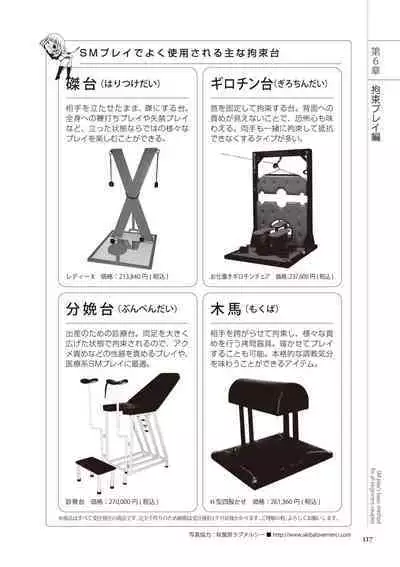 いますぐデキる 図説SMプレイマニュアル