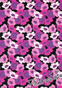 (C76) [pinktips.info (kazuha)] Cosplay Reitaisai o Katte Shimatta. (Touhou Project)