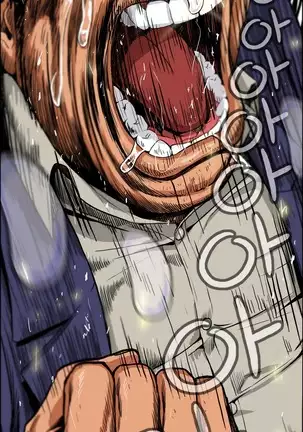 Chauffeur Service Ch.1-30.5