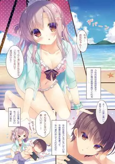 Onii-chan Osewa wa Watashi ni Makasete ne 3